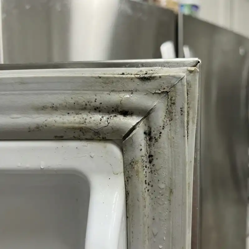 Close up of a refrigerator door gasket showing wear from coastal humidity on Sullivan's Island.